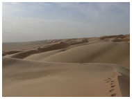 photo circuit 4x4 desert du sahara mauritanie - 10  jours Adrar - Banc d'Arguin