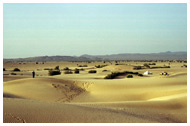 circuit 4x4 dans le désert du Sahara en Mauritanie - 10  jours Adrar - Banc d'Arguin
