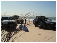 photo circuit 4x4 desert du sahara mauritanie - 2 jours banc d'arguin