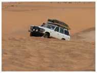 circuit 4x4 dans le dsert du Sahara en Mauritanie - 2 jours banc d'arguin